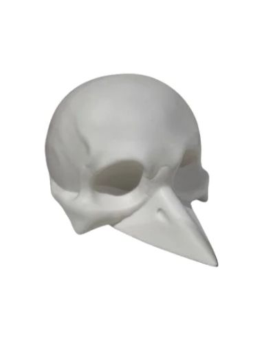 СЕРГЕЙ САФОНОВ GODOT SKULL
