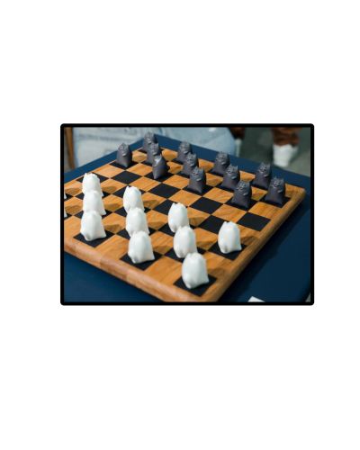 ПАРШИН ФЕДОР НОВИКОВА ДАРЬЯ ШАШКИ КОТЫ ЖЕЛАНИЙ